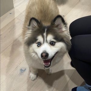 Meet your Posher, Zena